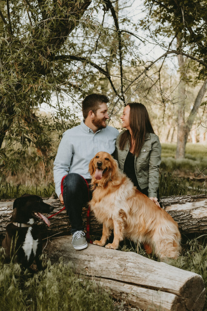 Outdoor Engagement in Colorado Couple with Dogs | Julia Susanne Photography
